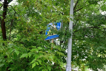 Знак спрятанный деревьями
